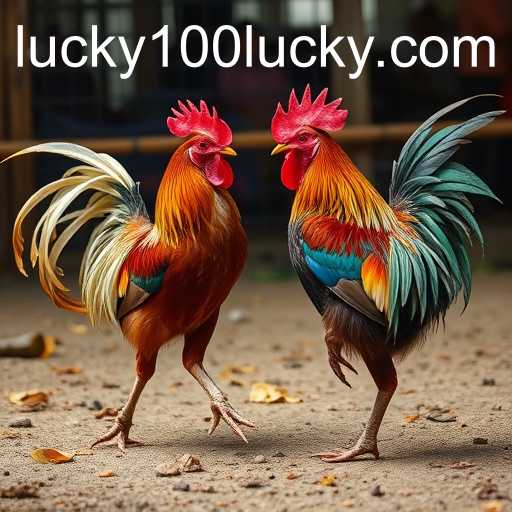 Exploring the World of Online Sabong and the Role of Lucky100